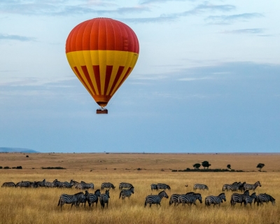 SAFARI KENIA MÁS EL PARAÍSO DE ZANZÍBAR