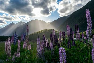 Explorando New Zealand, Fly & Drive