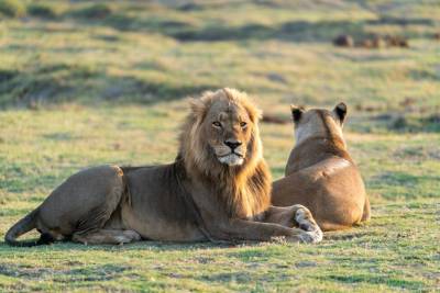 Safari de Lujo en el Norte de Botswana